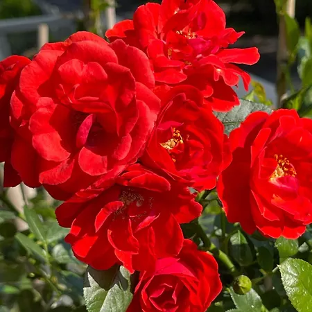 Centrum Wlodarzewska 30 M45