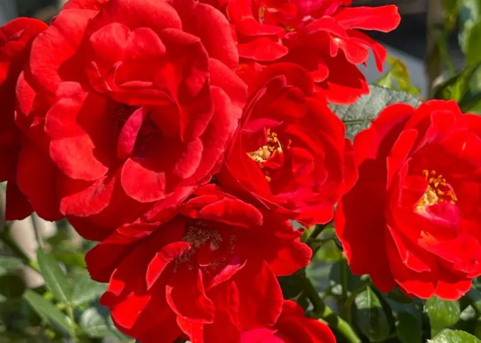 Centrum Wlodarzewska 30 M45